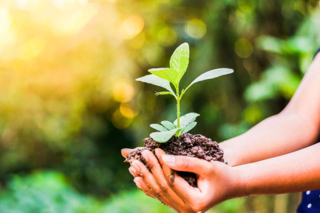 World Environment Day-1